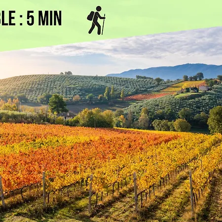 Maison Typique 3 Etoiles Entre Vignes Et Montagnes - - Route Des Vins Proche Eguisheim - 3 Vakantiehuis Obermorschwihr