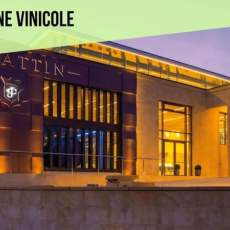 Maison Typique 3 Etoiles Entre Vignes Et Montagnes - - Route Des Vins Proche Eguisheim - 3 Vakantiehuis